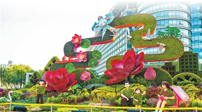 北京市民自育花卉亮相長(zhǎng)安街國(guó)慶主題花壇